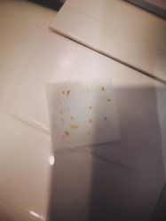 -苑苑vbeauty科技美容SPA