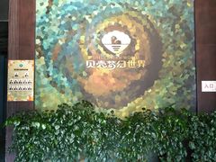 -贝壳梦幻世界