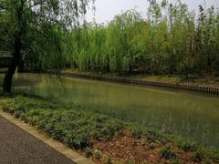 -广富林郊野公园