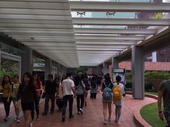 -香港大学
