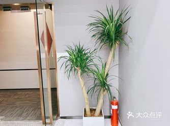 越来越懒，不想开车，坐地铁就能直达