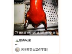 -真地道京味府·鲜橙烤鸭·北京菜(朝外大街东大桥店)