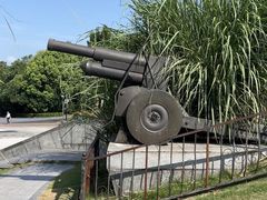 -上海吴淞炮台湾国家湿地公园