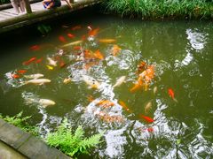 -成都杜甫草堂博物馆