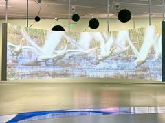-上海城市规划展示馆