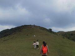 -大姆山草场