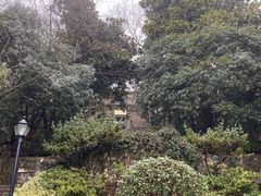 -紫金山天文台