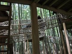 -山王坪喀斯特国家生态公园