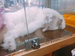 -乐宠宠物店(世纪金源店)