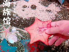 -沈阳海洋探索中心