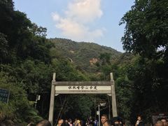 -银瓶嘴森林公园