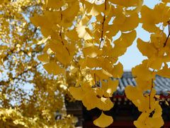 -承恩寺