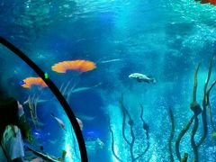 -沈阳海洋探索中心