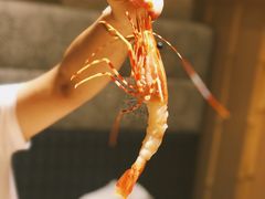 甜虾刺身-锅物新语&寿喜烧.炉端割烹(世博源店)