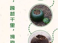 -七彩云南茶(七彩云南第壹城店)