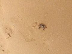 -青岛银沙滩温德姆至尊酒店