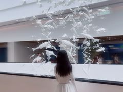 -中国湿地博物馆