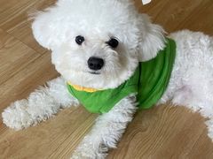 -中农大我爱我爱24h动物医院·中医针灸·猫专科·骨科医疗中心(双井店)