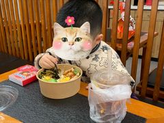 -面乙新派手擀面(大悦城店)