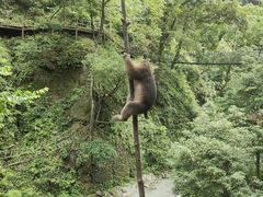 -峨眉山风景名胜区
