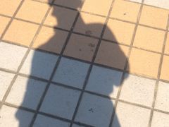 -风云岭森林公园