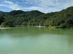 -广州白江湖森林公园