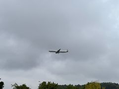 -空港花田景区