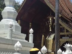 -西双版纳傣族园