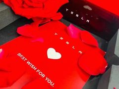 -TESLA 特斯拉(北京颐堤港体验店)