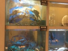 水产区-老村旧煲(江宁金鹰店)
