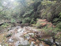 -本溪汤沟绿石谷森林公园