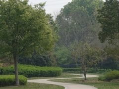 -昆山城市生态森林公园