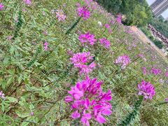 -清远熹乐谷温泉度假酒店