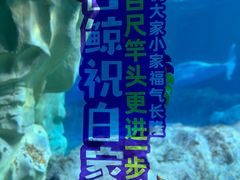 -珠海长隆海洋王国