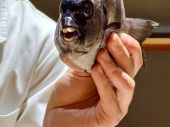 -镹·鱼料理  国产鱼使用店