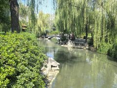 -西苑公园
