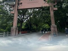 -水濂山森林公园