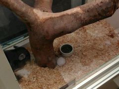 -龙猫仔乐园(惠福东路店)