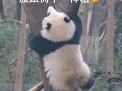 -素满香·全民素食自助(苏州·石路店)