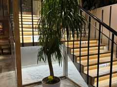 -TIGERS老虎西餐(亦庄店)