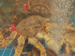 -新丁香海鲜酒店(银海商贸城店)