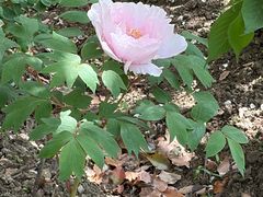 -江南大学(蠡湖校区)