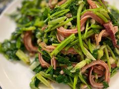 芫爆肚丝-鼎香润(德胜门内店)