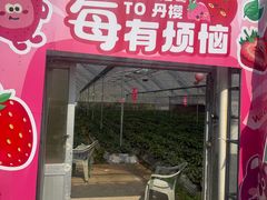 -丹樱生态园