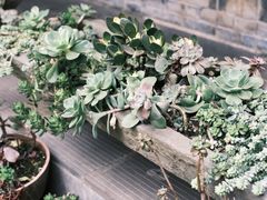 -华冠悠岚·庭院餐厅(青城后山店)