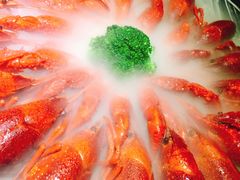 经典冰镇龙虾-红盔甲·小龙虾(天钥桥店)