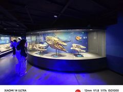 -国家自然博物馆