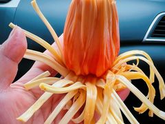 印尼红肉菠萝蜜-海吉星市场