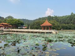 -南国桃园旅游度假区