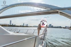 -格乐利雅婚礼艺术中心(南外滩店)